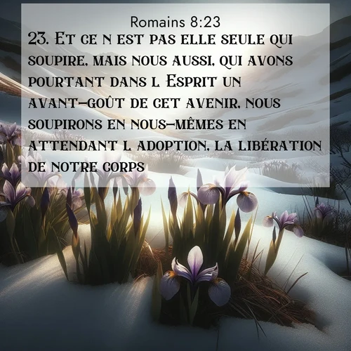 Segond21 Romains  ; image nature: image avec le verset biblique :Et ce n&#039;est pas elle seule qui soupire, mais nous aussi, qui avons pourtant dans l&#039;Esprit un avant-goût de cet avenir, nous soupirons en nous-mêmes en attendant l&#039;adoption, la libération de notre corps. ;  ; 8:23