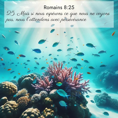 Segond21 Romains  ; image nature: image avec le verset biblique :Mais si nous espérons ce que nous ne voyons pas, nous l&#039;attendons avec persévérance. ;  ; 8:25