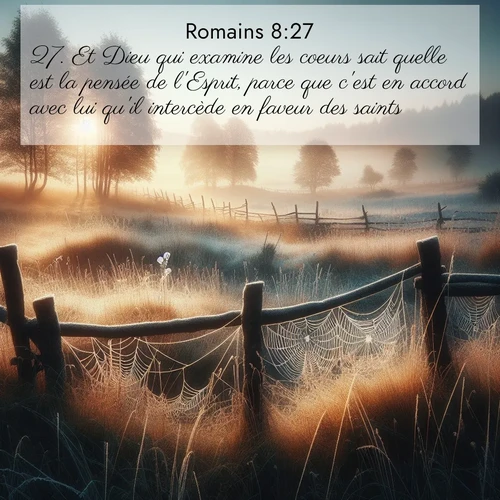 Segond21 Romains  ; image nature: image avec le verset biblique :Et Dieu qui examine les coeurs sait quelle est la pensée de l&#039;Esprit, parce que c&#039;est en accord avec lui qu&#039;il intercède en faveur des saints. ;  ; 8:27
