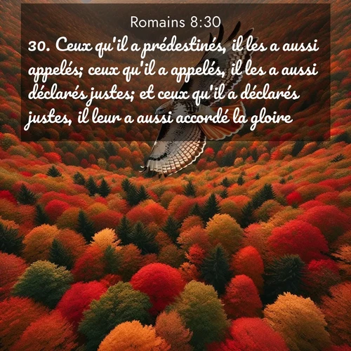 Segond21 Romains  ; image nature: image avec le verset biblique :Ceux qu&#039;il a prédestinés, il les a aussi appelés; ceux qu&#039;il a appelés, il les a aussi déclarés justes; et ceux qu&#039;il a déclarés justes, il leur a aussi accordé la gloire. ;  ; 8:30