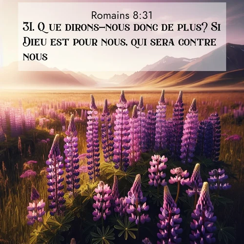 Segond21 Romains  ; image nature: image avec le verset biblique :Que dirons-nous donc de plus? Si Dieu est pour nous, qui sera contre nous? ;  ; 8:31