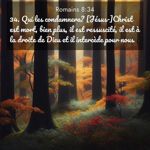 Segond21 Romains  ; image nature: image avec le verset biblique :Qui les condamnera? [Jésus-]Christ est mort, bien plus, il est ressuscité, il est à la droite de Dieu et il intercède pour nous! ;  ; 8:34