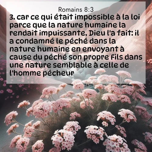 Segond21 Romains  ; image nature: image avec le verset biblique :car ce qui était impossible à la loi parce que la nature humaine la rendait impuissante, Dieu l&#039;a fait: il a condamné le péché dans la nature humaine en envoyant à cause du péché son propre Fils dans une nature semblable à celle de l&#039;homme pécheur. ;  ; 8:3