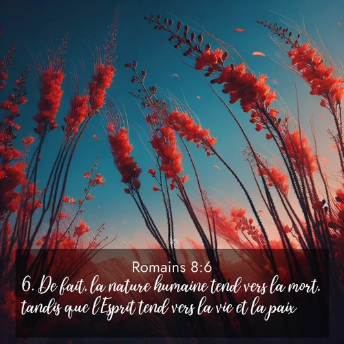Segond21 Romains  ; image nature: image avec le verset biblique :De fait, la nature humaine tend vers la mort, tandis que l&#039;Esprit tend vers la vie et la paix. ;  ; 8:6