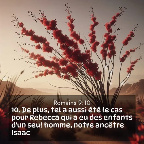 Segond21 Romains  ; image nature: image avec le verset biblique :De plus, tel a aussi été le cas pour Rebecca qui a eu des enfants d&#039;un seul homme, notre ancêtre Isaac: ;  ; 9:10