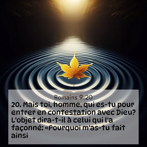 Segond21 Romains  ; image nature: image avec le verset biblique :Mais toi, homme, qui es-tu pour entrer en contestation avec Dieu? L&#039;objet dira-t-il à celui qui l&#039;a façonné: «Pourquoi m&#039;as-tu fait ainsi?» ;  ; 9:20