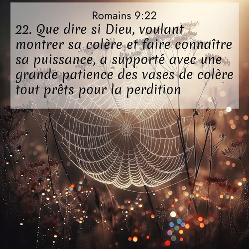 Segond21 Romains  ; image nature: image avec le verset biblique :Que dire si Dieu, voulant montrer sa colère et faire connaître sa puissance, a supporté avec une grande patience des vases de colère tout prêts pour la perdition? ;  ; 9:22