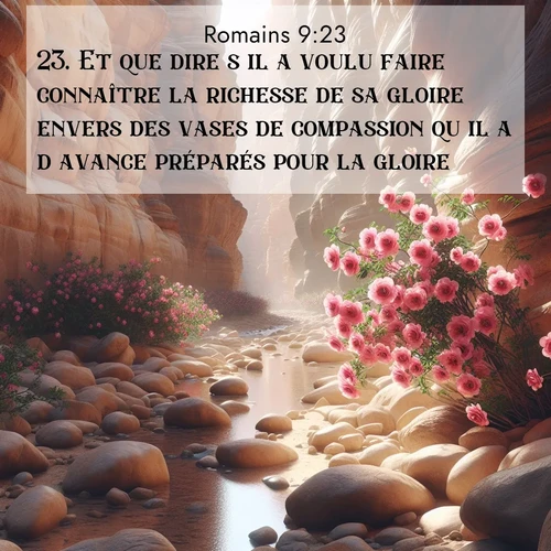 Segond21 Romains  ; image nature: image avec le verset biblique :Et que dire s&#039;il a voulu faire connaître la richesse de sa gloire envers des vases de compassion qu&#039;il a d&#039;avance préparés pour la gloire? ;  ; 9:23