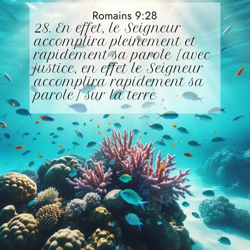 Segond21 Romains  ; image nature: image avec le verset biblique :En effet, le Seigneur accomplira pleinement et rapidement sa parole [avec justice, en effet le Seigneur accomplira rapidement sa parole] sur la terre. ;  ; 9:28