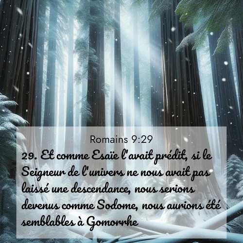 Segond21 Romains  ; image nature: image avec le verset biblique :Et comme Esaïe l&#039;avait prédit, si le Seigneur de l&#039;univers ne nous avait pas laissé une descendance, nous serions devenus comme Sodome, nous aurions été semblables à Gomorrhe. ;  ; 9:29