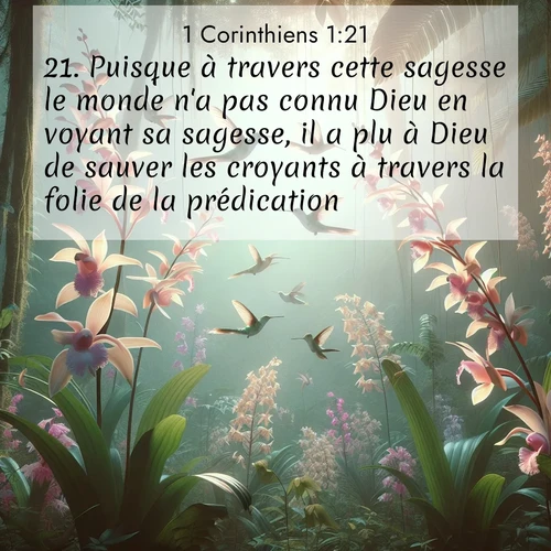 Segond21 1 Corinthiens  ; image nature: image avec le verset biblique :Puisque à travers cette sagesse le monde n&#039;a pas connu Dieu en voyant sa sagesse, il a plu à Dieu de sauver les croyants à travers la folie de la prédication. ;  ; 1:21