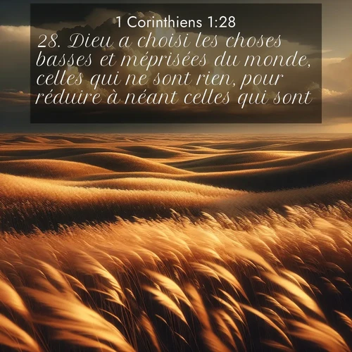 Segond21 1 Corinthiens  ; image nature: image avec le verset biblique :Dieu a choisi les choses basses et méprisées du monde, celles qui ne sont rien, pour réduire à néant celles qui sont, ;  ; 1:28