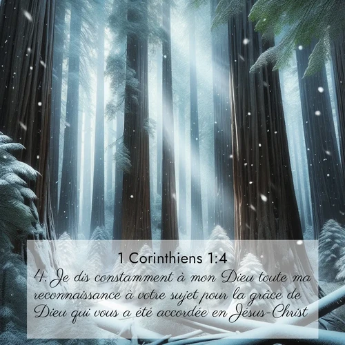 Segond21 1 Corinthiens  ; image nature: image avec le verset biblique :Je dis constamment à mon Dieu toute ma reconnaissance à votre sujet pour la grâce de Dieu qui vous a été accordée en Jésus-Christ. ;  ; 1:4