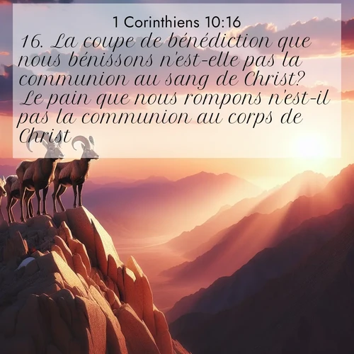 Segond21 1 Corinthiens  ; image nature: image avec le verset biblique :La coupe de bénédiction que nous bénissons n&#039;est-elle pas la communion au sang de Christ? Le pain que nous rompons n&#039;est-il pas la communion au corps de Christ? ;  ; 10:16