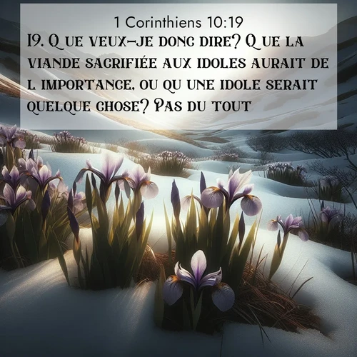 Segond21 1 Corinthiens  ; image nature: image avec le verset biblique :Que veux-je donc dire? Que la viande sacrifiée aux idoles aurait de l&#039;importance, ou qu&#039;une idole serait quelque chose? Pas du tout. ;  ; 10:19
