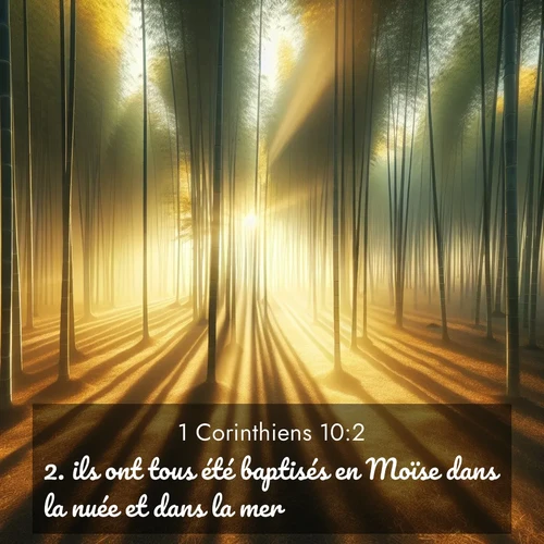 Segond21 1 Corinthiens  ; image nature: image avec le verset biblique :ils ont tous été baptisés en Moïse dans la nuée et dans la mer, ;  ; 10:2