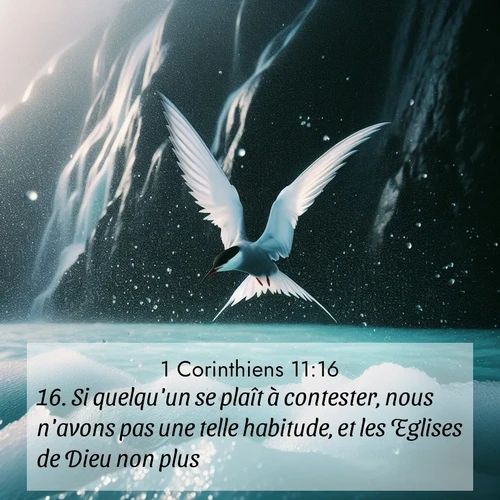 Segond21 1 Corinthiens  ; image nature: image avec le verset biblique :Si quelqu&#039;un se plaît à contester, nous n&#039;avons pas une telle habitude, et les Eglises de Dieu non plus. ;  ; 11:16