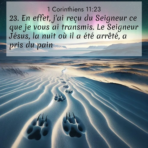 Segond21 1 Corinthiens  ; image nature: image avec le verset biblique :En effet, j&#039;ai reçu du Seigneur ce que je vous ai transmis. Le Seigneur Jésus, la nuit où il a été arrêté, a pris du pain. ;  ; 11:23