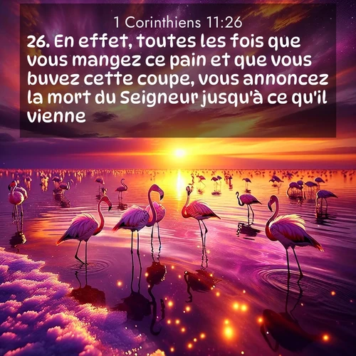 Segond21 1 Corinthiens  ; image nature: image avec le verset biblique :En effet, toutes les fois que vous mangez ce pain et que vous buvez cette coupe, vous annoncez la mort du Seigneur jusqu&#039;à ce qu&#039;il vienne. ;  ; 11:26