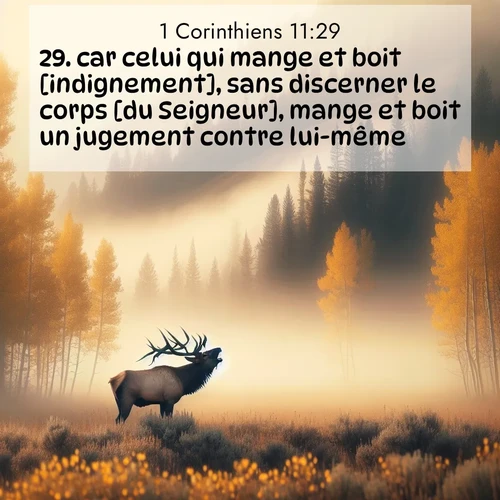 Segond21 1 Corinthiens  ; image nature: image avec le verset biblique :car celui qui mange et boit [indignement], sans discerner le corps [du Seigneur], mange et boit un jugement contre lui-même. ;  ; 11:29