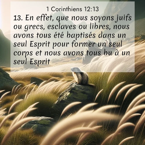 Segond21 1 Corinthiens  ; image nature: image avec le verset biblique :En effet, que nous soyons juifs ou grecs, esclaves ou libres, nous avons tous été baptisés dans un seul Esprit pour former un seul corps et nous avons tous bu à un seul Esprit. ;  ; 12:13