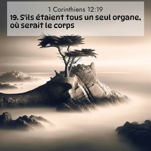 Segond21 1 Corinthiens  ; image nature: image avec le verset biblique :S&#039;ils étaient tous un seul organe, où serait le corps? ;  ; 12:19