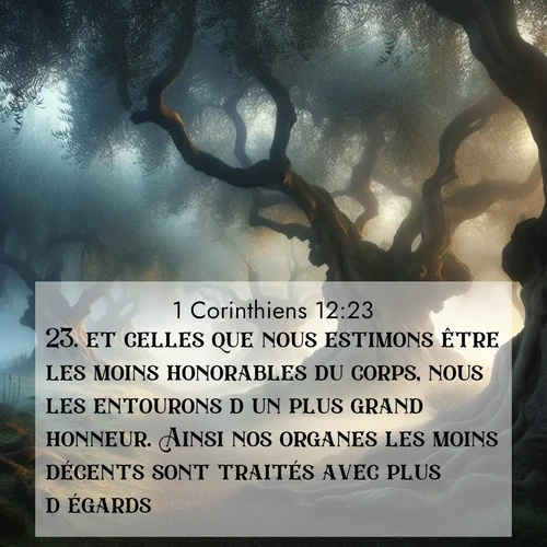 Segond21 1 Corinthiens  ; image nature: image avec le verset biblique :et celles que nous estimons être les moins honorables du corps, nous les entourons d&#039;un plus grand honneur. Ainsi nos organes les moins décents sont traités avec plus d&#039;égards, ;  ; 12:23