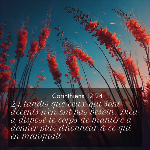 Segond21 1 Corinthiens  ; image nature: image avec le verset biblique :tandis que ceux qui sont décents n&#039;en ont pas besoin. Dieu a disposé le corps de manière à donner plus d&#039;honneur à ce qui en manquait, ;  ; 12:24