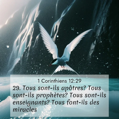 Segond21 1 Corinthiens  ; image nature: image avec le verset biblique :Tous sont-ils apôtres? Tous sont-ils prophètes? Tous sont-ils enseignants? Tous font-ils des miracles? ;  ; 12:29