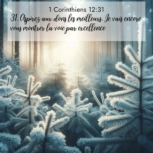 Segond21 1 Corinthiens  ; image nature: image avec le verset biblique :Aspirez aux dons les meilleurs. Je vais encore vous montrer la voie par excellence. ;  ; 12:31