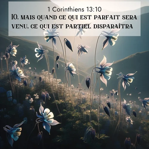 Segond21 1 Corinthiens  ; image nature: image avec le verset biblique :mais quand ce qui est parfait sera venu, ce qui est partiel disparaîtra. ;  ; 13:10