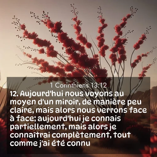 image nature avec verset biblique de la Bible