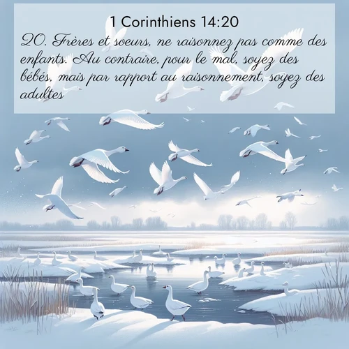 Segond21 1 Corinthiens  ; image nature: image avec le verset biblique :Frères et soeurs, ne raisonnez pas comme des enfants. Au contraire, pour le mal, soyez des bébés, mais par rapport au raisonnement, soyez des adultes. ;  ; 14:20
