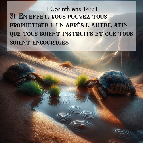 Segond21 1 Corinthiens  ; image nature: image avec le verset biblique :En effet, vous pouvez tous prophétiser l&#039;un après l&#039;autre, afin que tous soient instruits et que tous soient encouragés. ;  ; 14:31