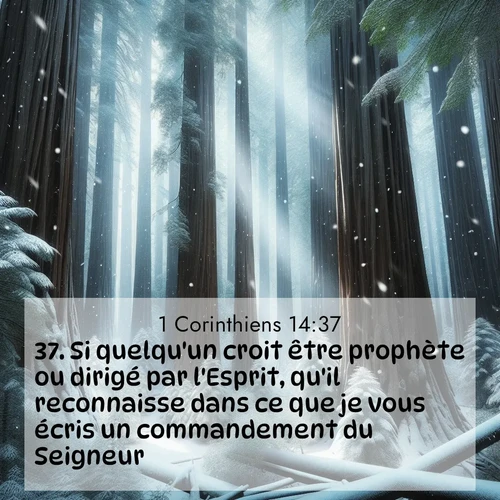 Segond21 1 Corinthiens  ; image nature: image avec le verset biblique :Si quelqu&#039;un croit être prophète ou dirigé par l&#039;Esprit, qu&#039;il reconnaisse dans ce que je vous écris un commandement du Seigneur. ;  ; 14:37