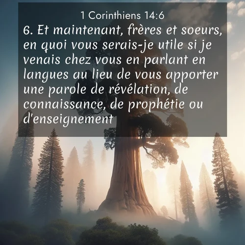 Segond21 1 Corinthiens  ; image nature: image avec le verset biblique :Et maintenant, frères et soeurs, en quoi vous serais-je utile si je venais chez vous en parlant en langues au lieu de vous apporter une parole de révélation, de connaissance, de prophétie ou d&#039;enseignement? ;  ; 14:6