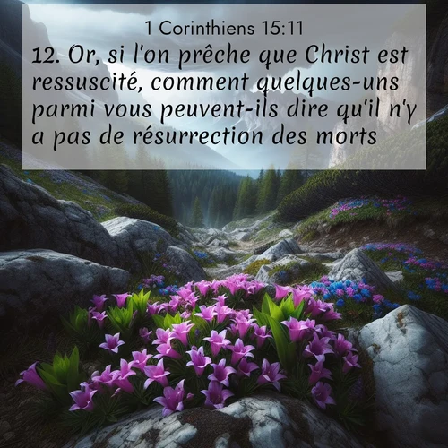 Segond21 1 Corinthiens  ; image nature: image avec le verset biblique :Or, si l&#039;on prêche que Christ est ressuscité, comment quelques-uns parmi vous peuvent-ils dire qu&#039;il n&#039;y a pas de résurrection des morts? ;  ; 15:11