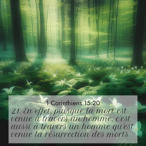 Segond21 1 Corinthiens  ; image nature: image avec le verset biblique :En effet, puisque la mort est venue à travers un homme, c&#039;est aussi à travers un homme qu&#039;est venue la résurrection des morts. ;  ; 15:20