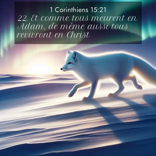 Segond21 1 Corinthiens  ; image nature: image avec le verset biblique :Et comme tous meurent en Adam, de même aussi tous revivront en Christ, ;  ; 15:21