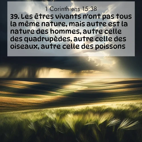 Segond21 1 Corinthiens  ; image nature: image avec le verset biblique :Les êtres vivants n&#039;ont pas tous la même nature, mais autre est la nature des hommes, autre celle des quadrupèdes, autre celle des oiseaux, autre celle des poissons. ;  ; 15:38