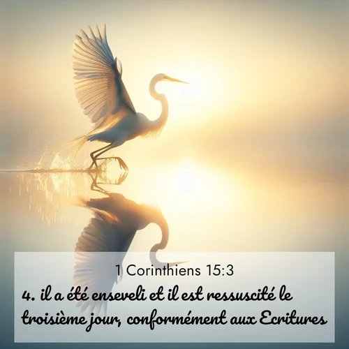 Segond21 1 Corinthiens  ; image nature: image avec le verset biblique :il a été enseveli et il est ressuscité le troisième jour, conformément aux Ecritures. ;  ; 15:3