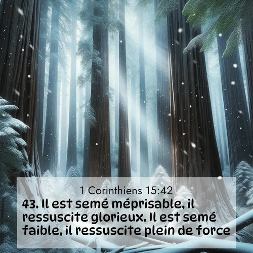 Segond21 1 Corinthiens  ; image nature: image avec le verset biblique :Il est semé méprisable, il ressuscite glorieux. Il est semé faible, il ressuscite plein de force. ;  ; 15:42