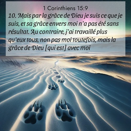 Segond21 1 Corinthiens  ; image nature: image avec le verset biblique :Mais par la grâce de Dieu je suis ce que je suis, et sa grâce envers moi n&#039;a pas été sans résultat. Au contraire, j&#039;ai travaillé plus qu&#039;eux tous, non pas moi toutefois, mais la grâce de Dieu [qui est] avec moi. ;  ; 15:9