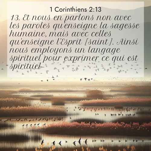 Segond21 1 Corinthiens  ; image nature: image avec le verset biblique :Et nous en parlons non avec les paroles qu&#039;enseigne la sagesse humaine, mais avec celles qu&#039;enseigne l&#039;Esprit [saint]. Ainsi nous employons un langage spirituel pour exprimer ce qui est spirituel. ;  ; 2:13