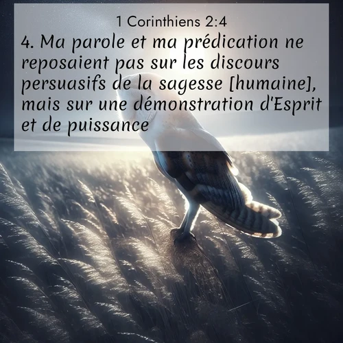 Segond21 1 Corinthiens  ; image nature: image avec le verset biblique :Ma parole et ma prédication ne reposaient pas sur les discours persuasifs de la sagesse [humaine], mais sur une démonstration d&#039;Esprit et de puissance, ;  ; 2:4
