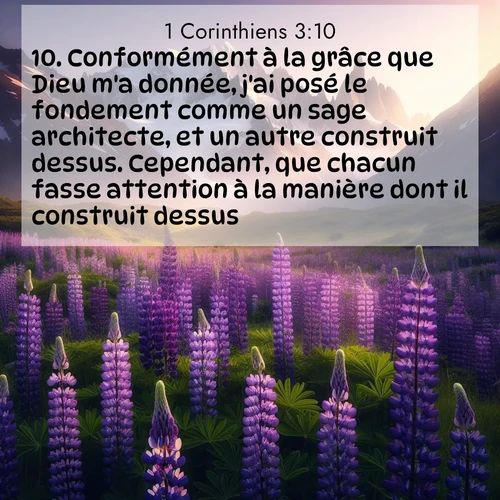 Segond21 1 Corinthiens  ; image nature: image avec le verset biblique :Conformément à la grâce que Dieu m&#039;a donnée, j&#039;ai posé le fondement comme un sage architecte, et un autre construit dessus. Cependant, que chacun fasse attention à la manière dont il construit dessus, ;  ; 3:10