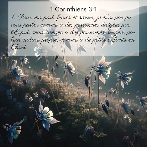 Segond21 1 Corinthiens  ; image nature: image avec le verset biblique :Pour ma part, frères et sœurs, je n&#039;ai pas pu vous parler comme à des personnes dirigées par l’Esprit, mais comme à des personnes dirigées par leur nature propre, comme à de petits enfants en Christ. ;  ; 3:1