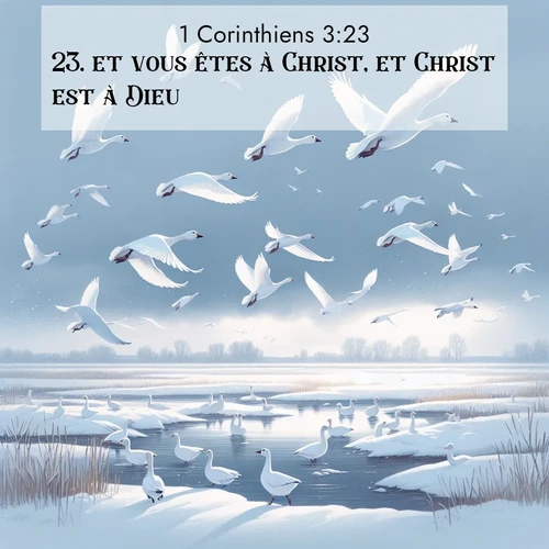 Segond21 1 Corinthiens  ; image nature: image avec le verset biblique :et vous êtes à Christ, et Christ est à Dieu. ;  ; 3:23