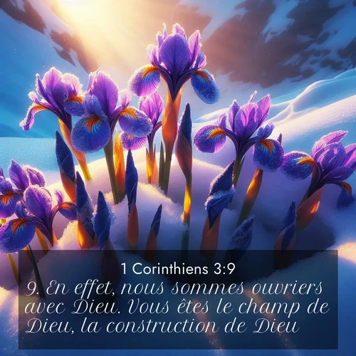 Segond21 1 Corinthiens  ; image nature: image avec le verset biblique :En effet, nous sommes ouvriers avec Dieu. Vous êtes le champ de Dieu, la construction de Dieu. ;  ; 3:9
