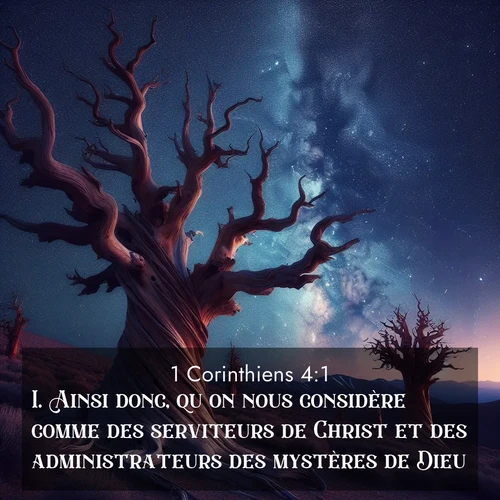 Segond21 1 Corinthiens  ; image nature: image avec le verset biblique :Ainsi donc, qu&#039;on nous considère comme des serviteurs de Christ et des administrateurs des mystères de Dieu. ;  ; 4:1